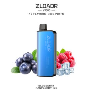 Zloadr V9000 Blueberry Raspberry Ice